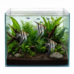 Peces y Acuarios